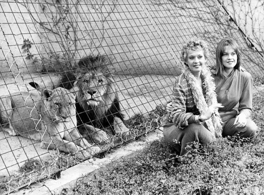 Tippi Hedren, Melanie Griffith, Lions, Unusual Celebrity Pets
